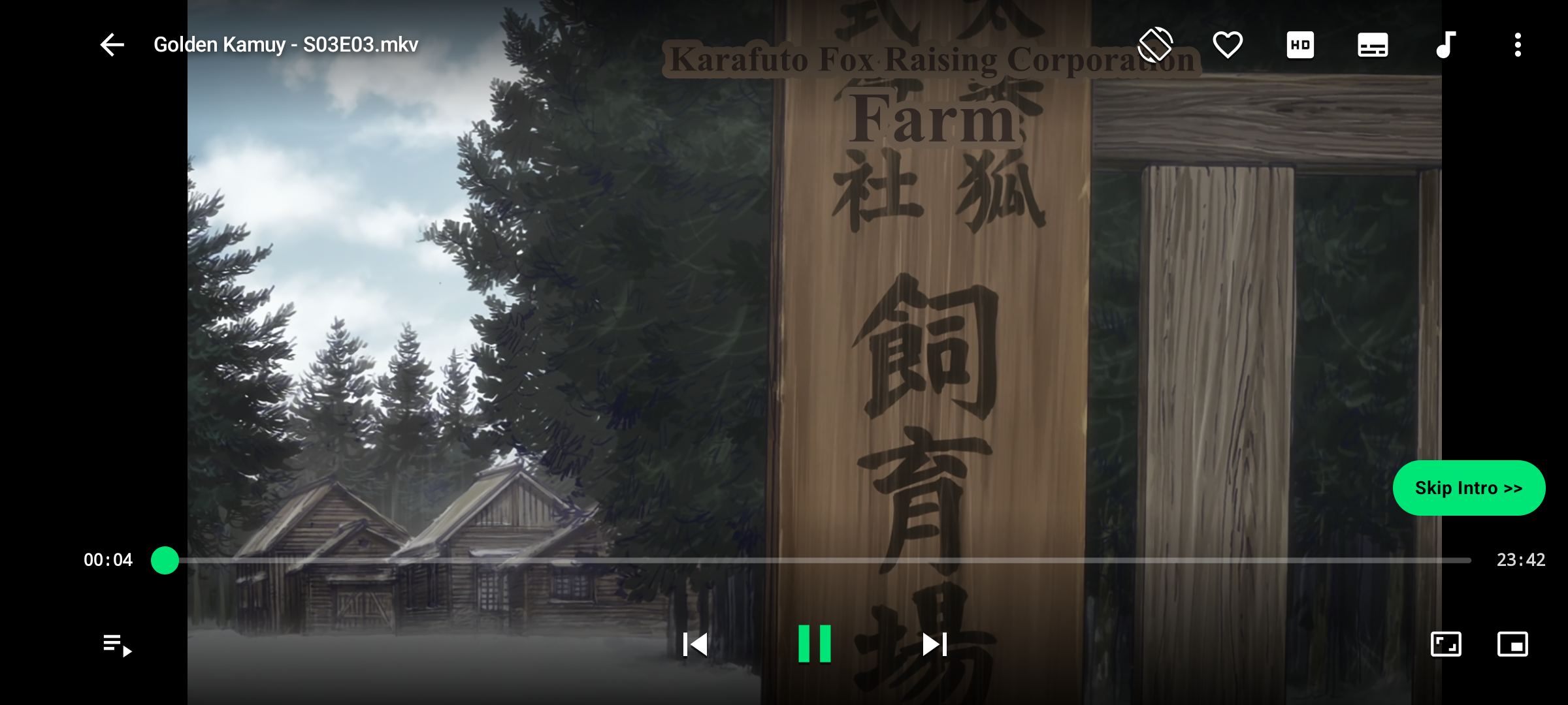 Z Player View